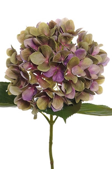 Hortensia 65 cm. ø10 cm. lilla