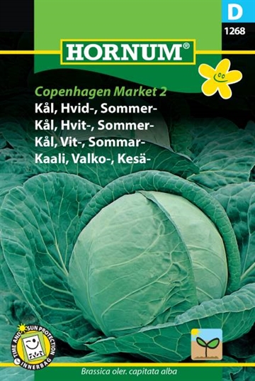 Kål, Hvid-, Copenhagen Market 2 (D)