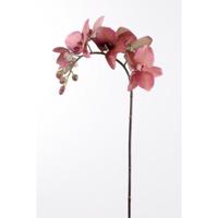 Orkidé 60 cm. vinrød