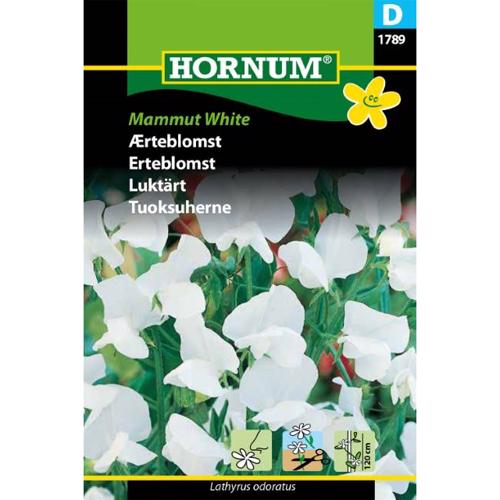 Ærteblomst