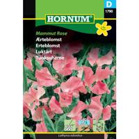 Ærteblomst