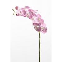 Orkidé 75 cm. rosa