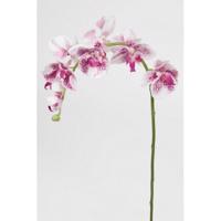 Orkidé 75 cm. lys lilla