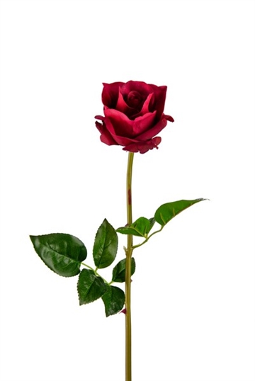 Rose stilk 65 cm. vinrød