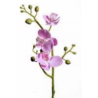 Orkidé 50 cm Pink