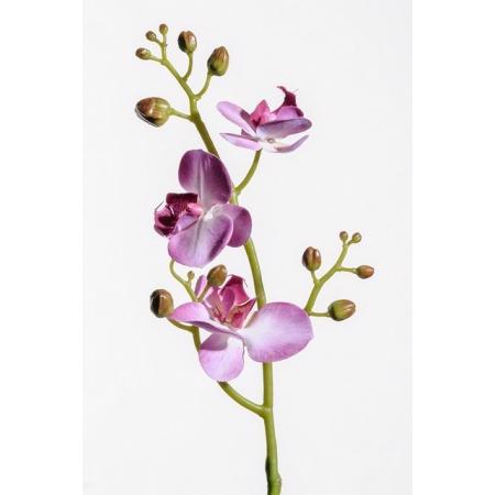 Orkidé 50 cm lys lilla