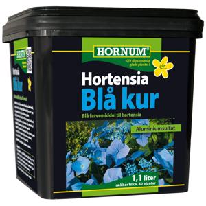 Hortensia Blåkur 1,1L