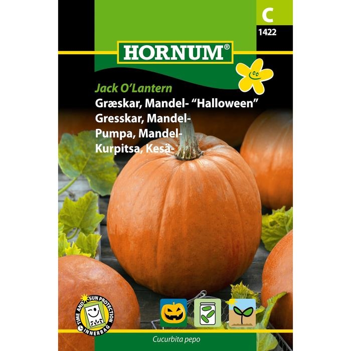 Græskar, Mandel- "Halloween"