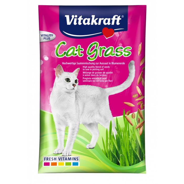 Cat Grass - Brev